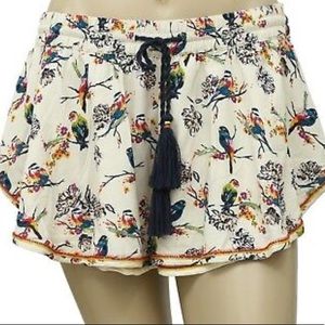 Embroidered bird shorts